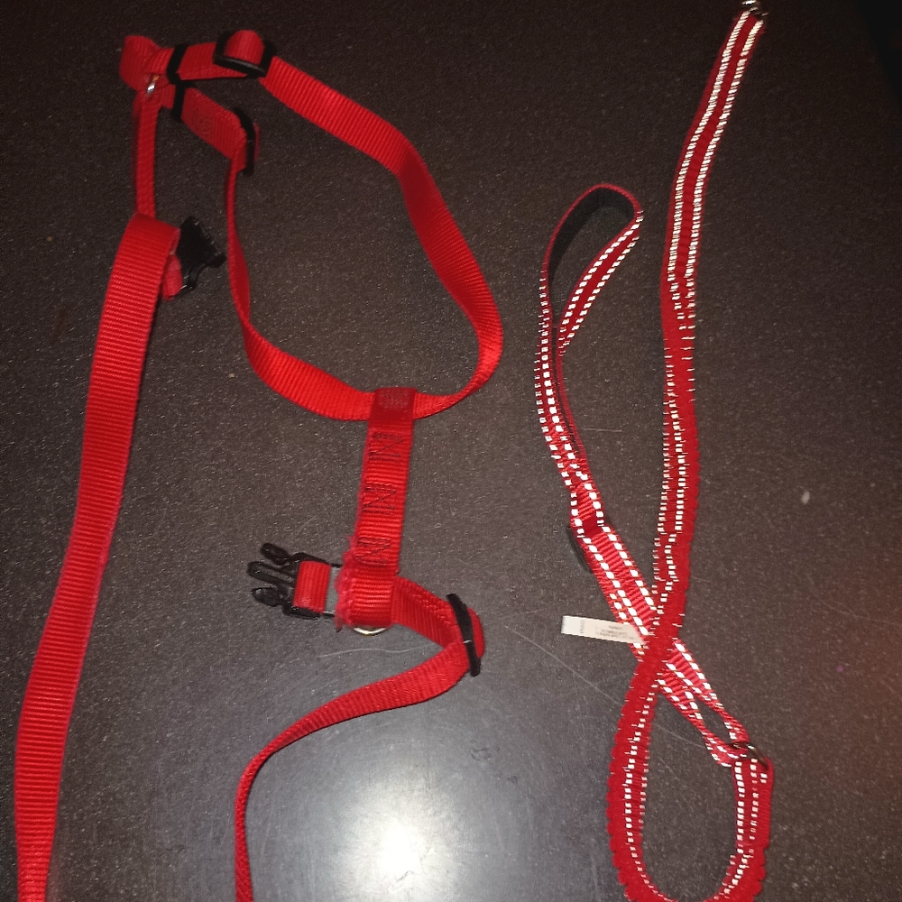 Harnesses - Picture 16 of 16